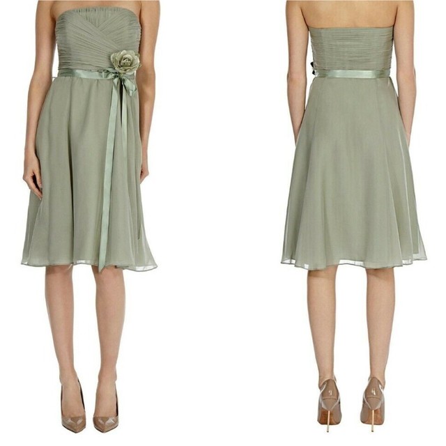 coast lucinda tulle dress